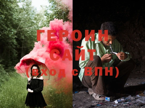 ГАЛЛЮЦИНОГЕННЫЕ ГРИБЫ Ельня