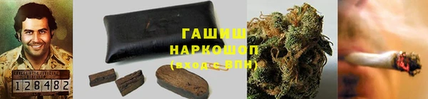 сатива Алзамай