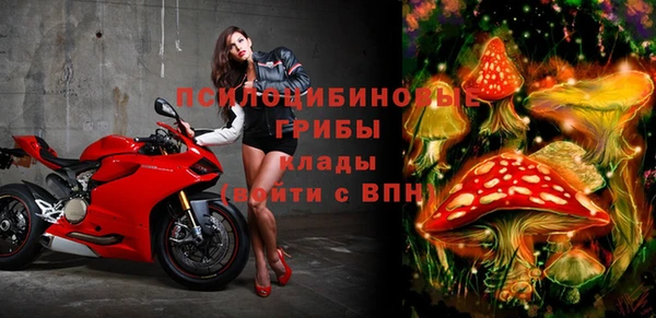 сатива Алзамай