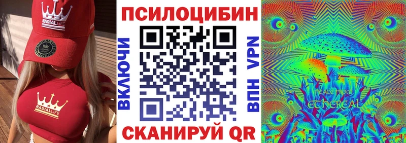 где продают наркотики Ядрин Галлюциногенные грибы прущие грибы